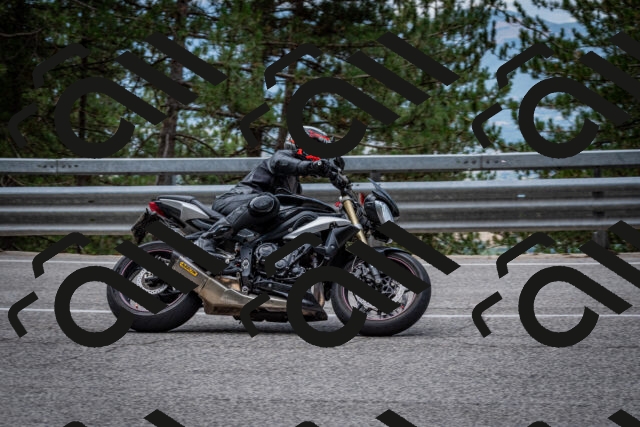 202508031155-DSC_3531_c2