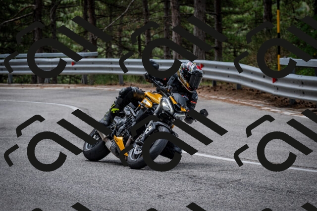 202508031156-DSC_3532_c2