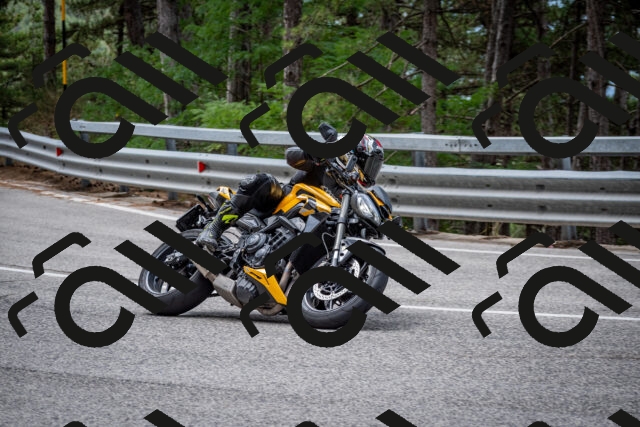 202508031156-DSC_3533_c2