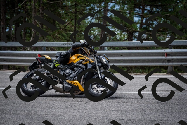 202508031156-DSC_3534_c2