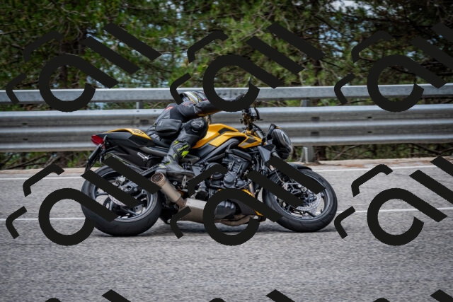 202508031156-DSC_3535_c2