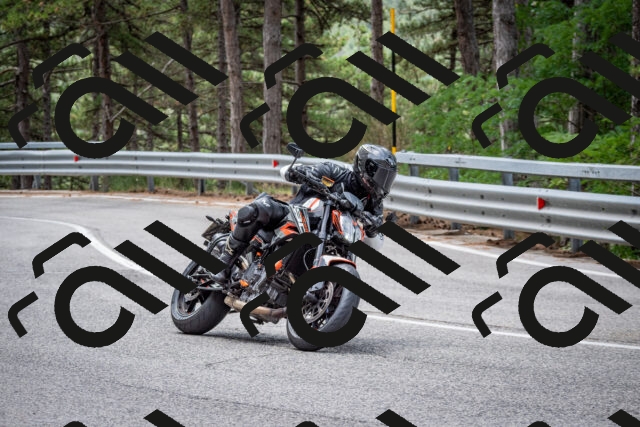 202508031156-DSC_3539_c2