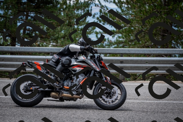 202508031156-DSC_3541_c2