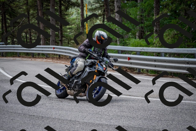 202508031157-DSC_3542_c2