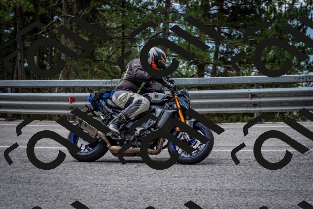 202508031157-DSC_3543_c2