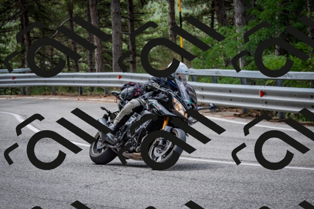 202508031157-DSC_3544_c2