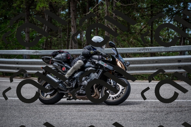 202508031157-DSC_3545_c2