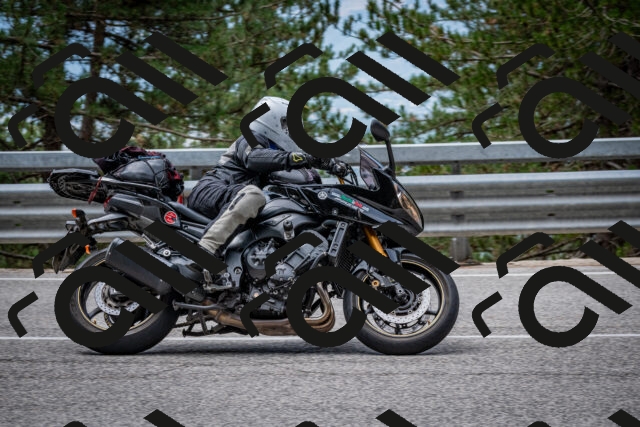 202508031157-DSC_3546_c2