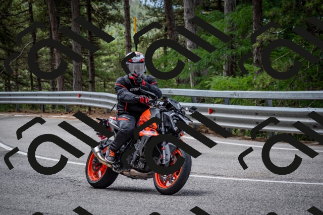 202508031157-DSC_3548-2_c2