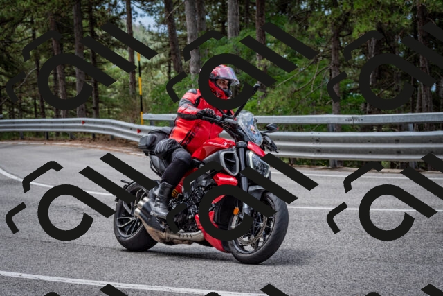 202508031157-DSC_3549_c2