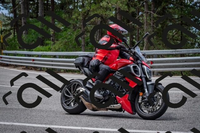 202508031157-DSC_3550_c2