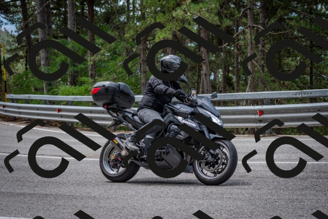 202508031157-DSC_3551-2_c2