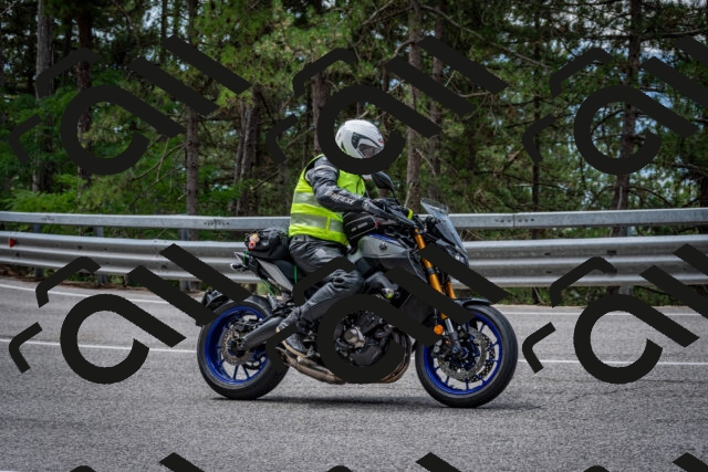 202508031157-DSC_3553_c2