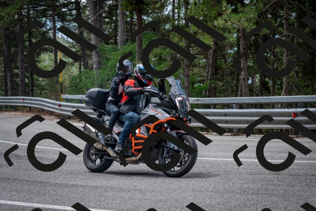 202508031157-DSC_3554_c2