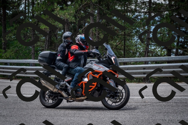 202508031157-DSC_3555-2_c2