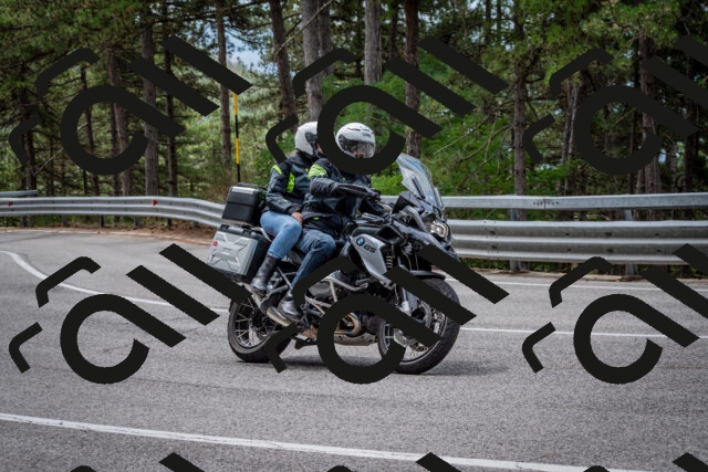 202508031157-DSC_3556_c2