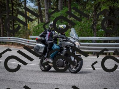 202508031157-DSC_3560_c2