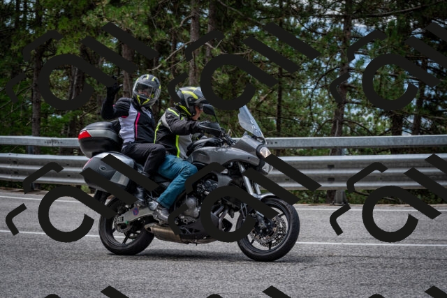 202508031157-DSC_3561-2_c2