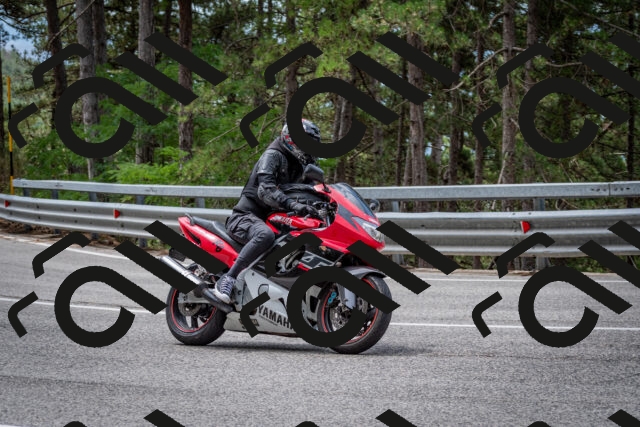 202508031157-DSC_3562_c2