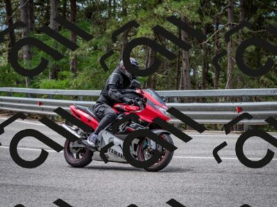 202508031157-DSC_3562_c2