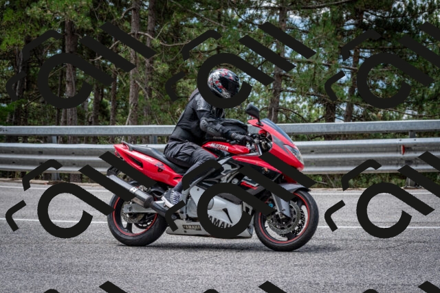 202508031157-DSC_3563_c2