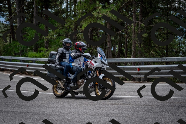 202508031157-DSC_3568_c2