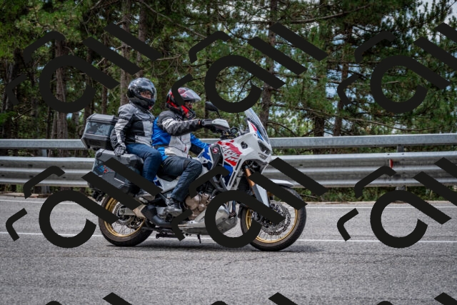 202508031157-DSC_3569_c2