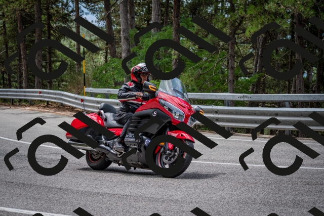 202508031157-DSC_3572_c2