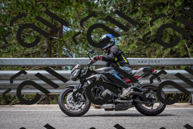 202508031157-DSC_3576_c2