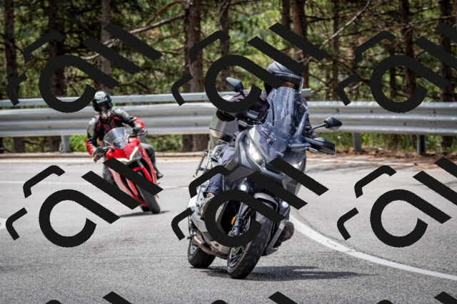 202508031159-DSC_3579_c2