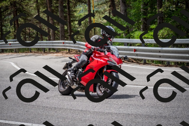 202508031159-DSC_3581-2_c2