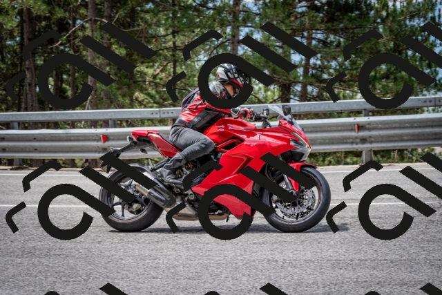 202508031159-DSC_3582-2_c2