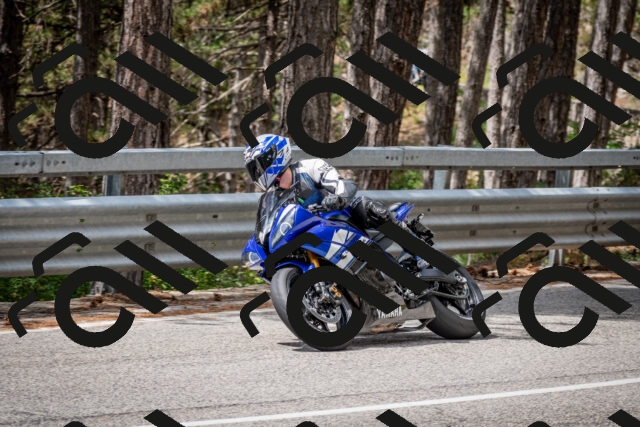 202508031200-DSC_3592-2_c2