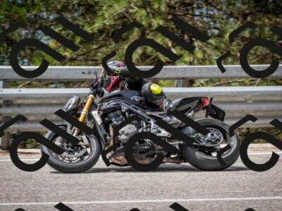 202508031200-DSC_3594_c2