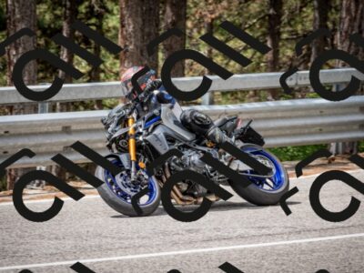 202508031200-DSC_3596_c2