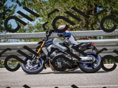 202508031200-DSC_3597_c2