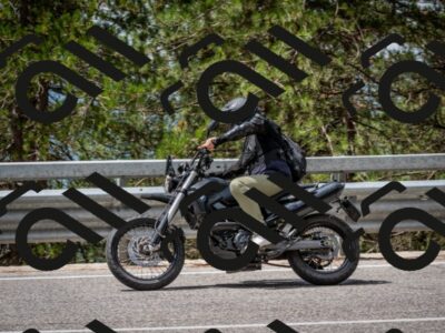 202508031200-DSC_3601_c2