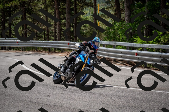 202508031203-DSC_3610_c2