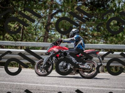 202508031203-DSC_3615_c2