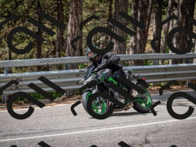 202508031204-DSC_3624_c2