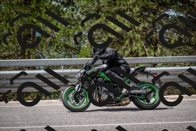 202508031204-DSC_3625_c2