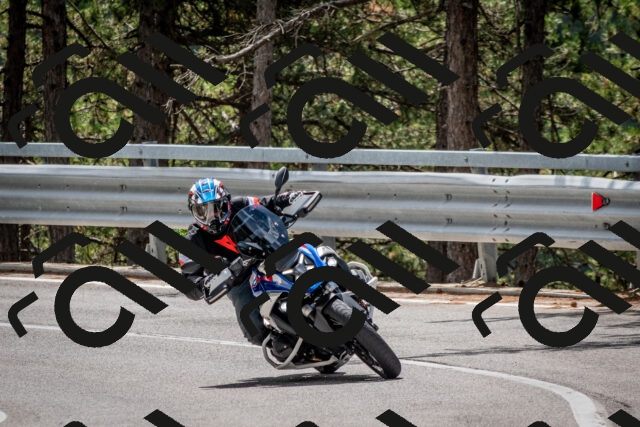 202508031205-DSC_3628_c2