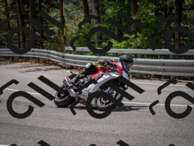 202508031205-DSC_3630-2_c2