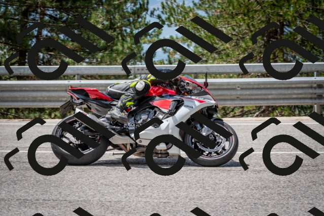 202508031205-DSC_3632-2_c2