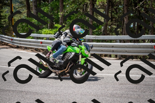 202508031206-DSC_3636_c2