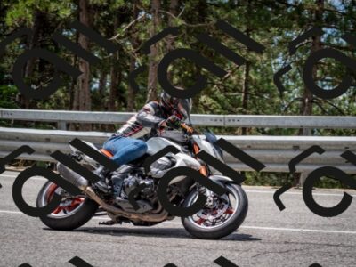 202508031206-DSC_3640_c2