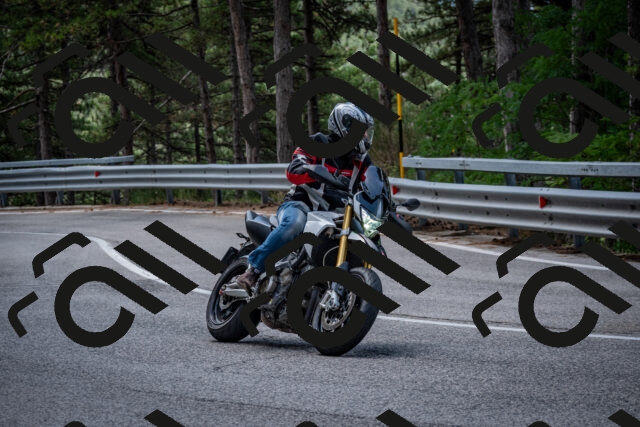 202508031207-DSC_3645_c2