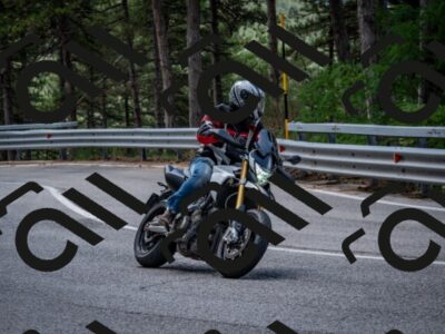 202508031207-DSC_3645_c2