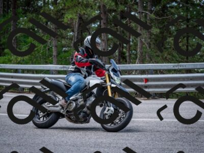 202508031207-DSC_3646_c2