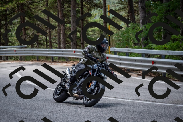 202508031208-DSC_3648_c2